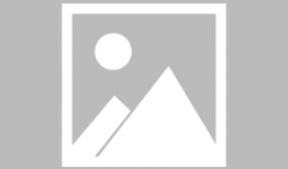 虎动漫,激荡青春，热血沸腾的动漫世界