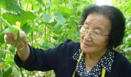 宁波主持人吃瓜爆料,揭秘娱乐圈幕后真相